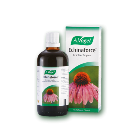 TINCTURE ECHINAFORCE 50ML