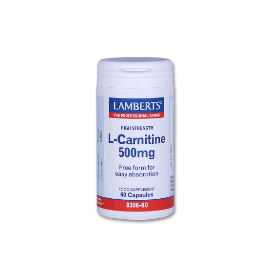 L-CARNITINE 500MG 60CAPS