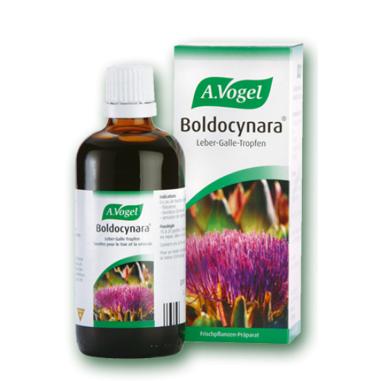 TINCTURE BOLDOCYNARA 50ML